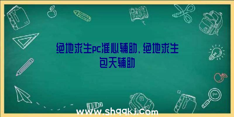 绝地求生pc准心辅助、绝地求生包天辅助