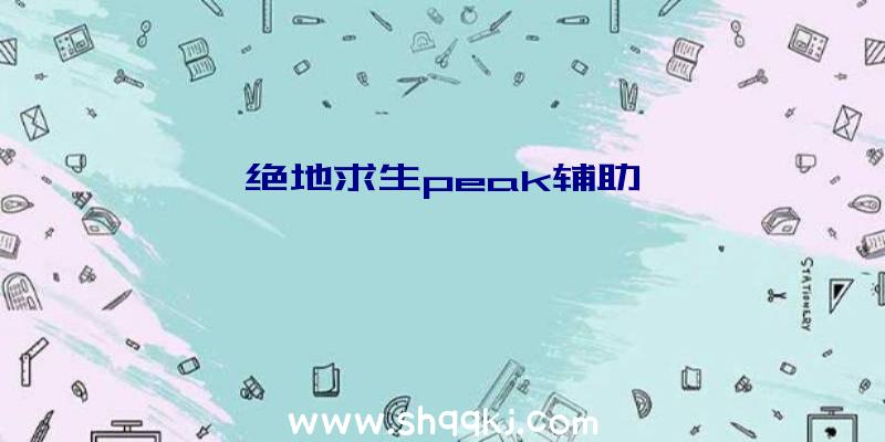 绝地求生peak辅助