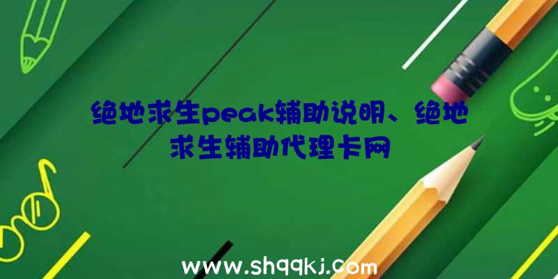 绝地求生peak辅助说明、绝地求生辅助代理卡网