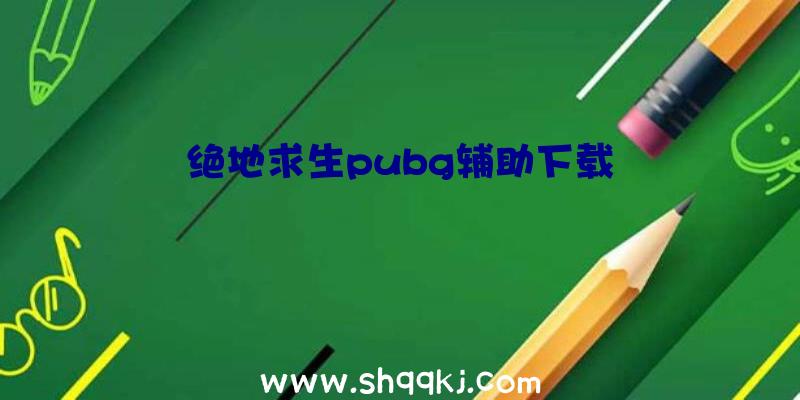 绝地求生pubg辅助下载