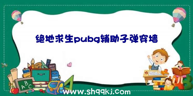 绝地求生pubg辅助子弹穿墙