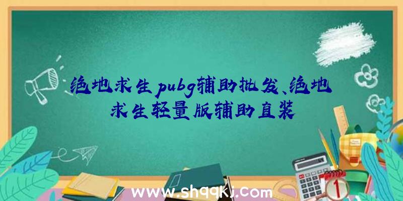 绝地求生pubg辅助批发、绝地求生轻量版辅助直装