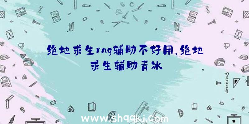 绝地求生rng辅助不好用、绝地求生辅助青冰