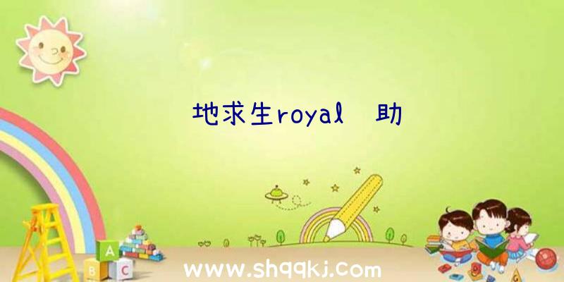 绝地求生royal辅助