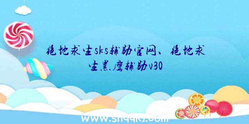 绝地求生sks辅助官网、绝地求生黑鹰辅助v30