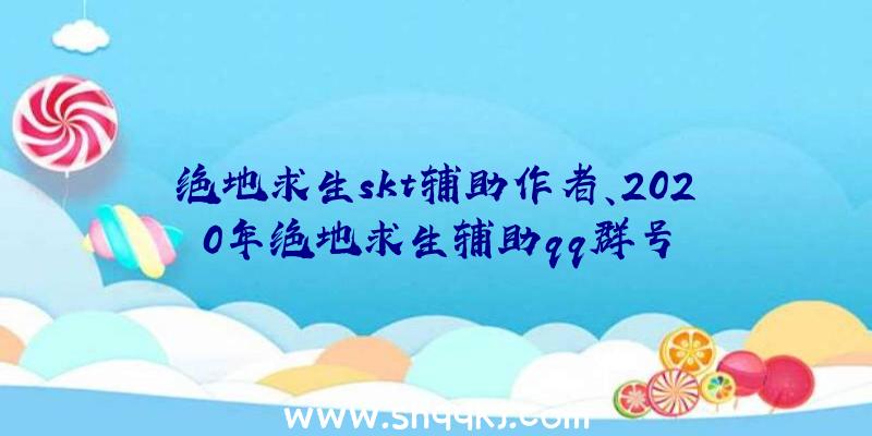 绝地求生skt辅助作者、2020年绝地求生辅助qq群号