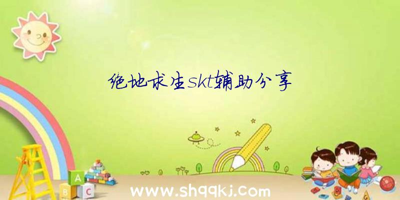 绝地求生skt辅助分享