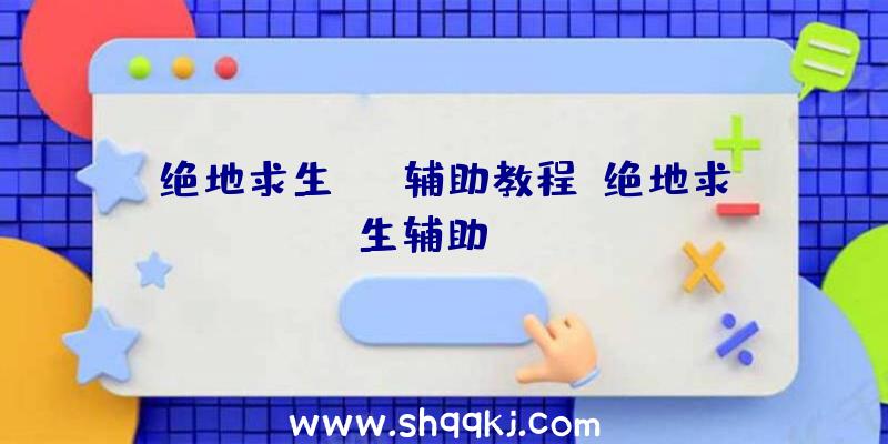 绝地求生skt辅助教程、绝地求生辅助sng