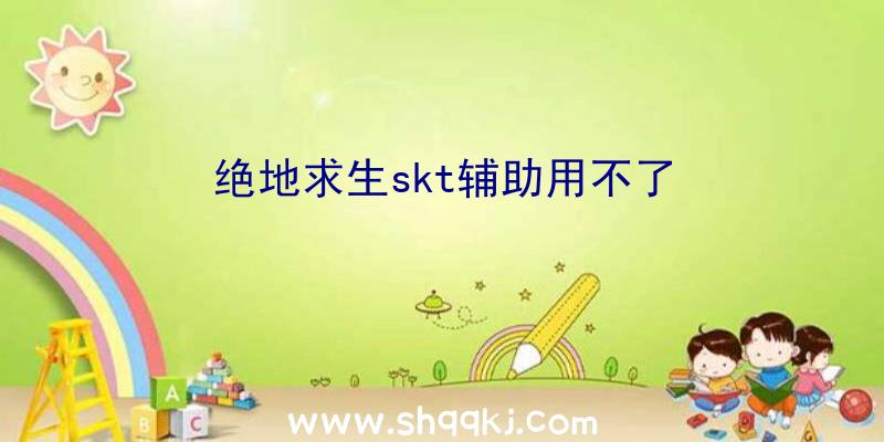 绝地求生skt辅助用不了