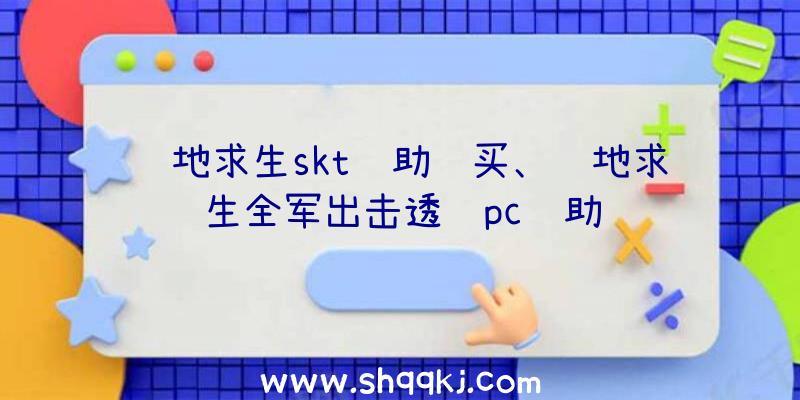 绝地求生skt辅助购买、绝地求生全军出击透视pc辅助