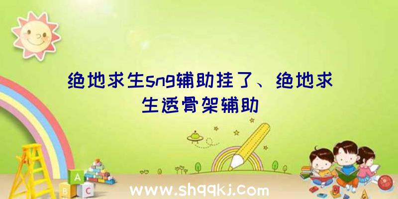 绝地求生sng辅助挂了、绝地求生透骨架辅助