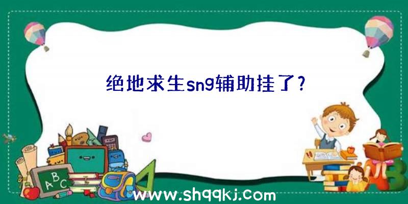 绝地求生sng辅助挂了？