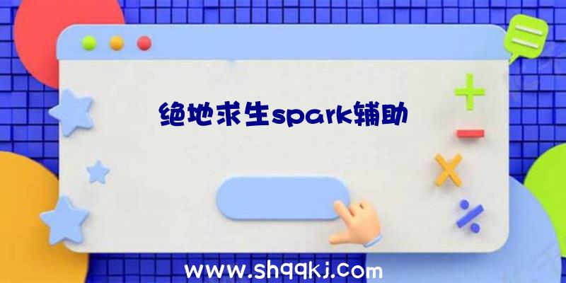 绝地求生spark辅助