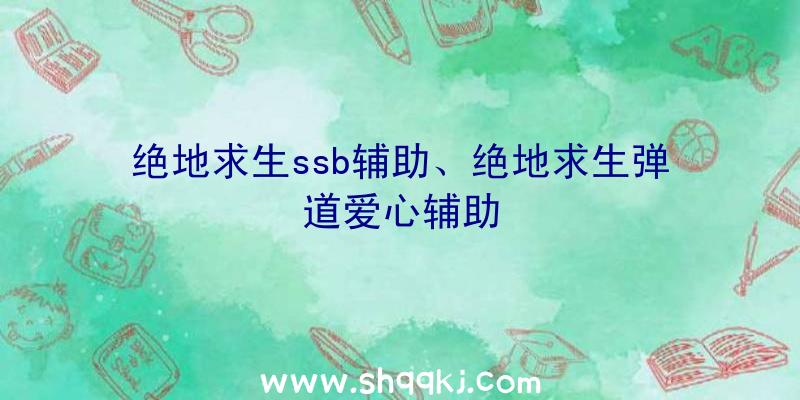 绝地求生ssb辅助、绝地求生弹道爱心辅助