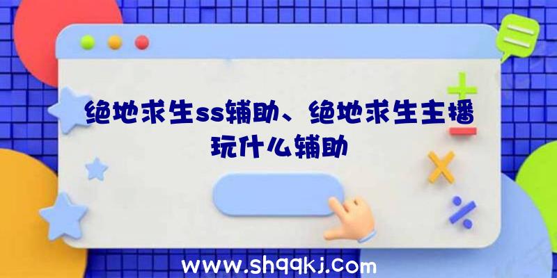 绝地求生ss辅助、绝地求生主播玩什么辅助