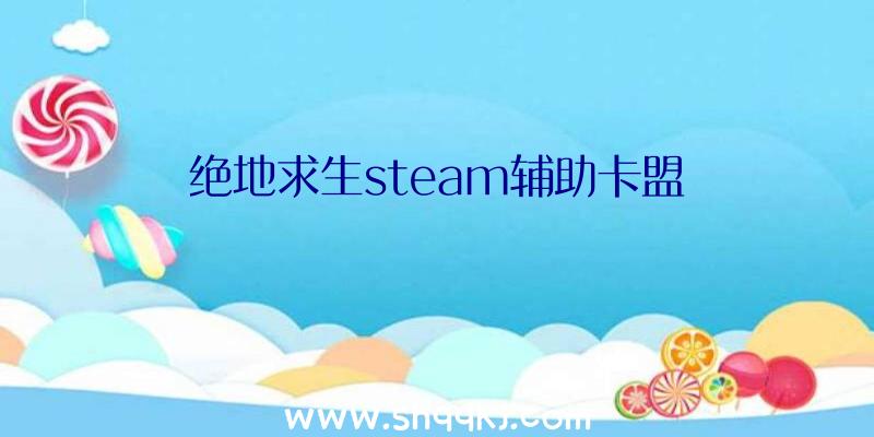 绝地求生steam辅助卡盟