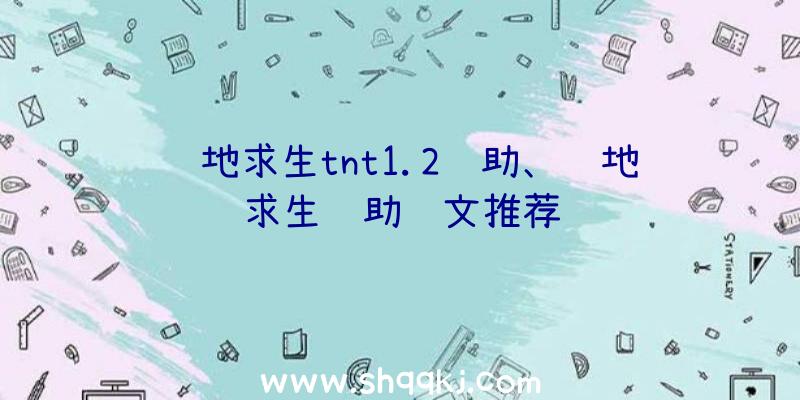 绝地求生tnt1.2辅助、绝地求生辅助铭文推荐