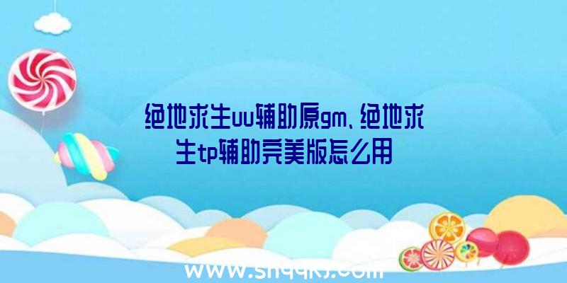 绝地求生uu辅助原gm、绝地求生tp辅助完美版怎么用