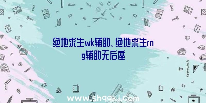 绝地求生wk辅助、绝地求生rng辅助无后座