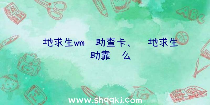 绝地求生wm辅助查卡、绝地求生辅助靠谱么