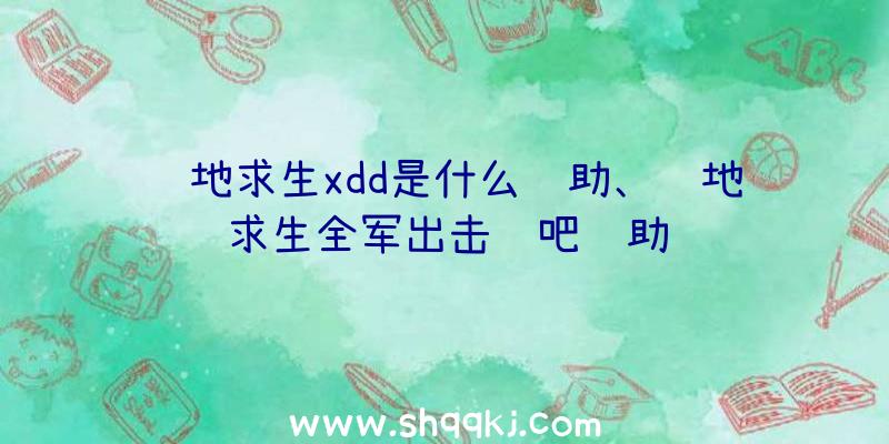 绝地求生xdd是什么辅助、绝地求生全军出击贴吧辅助