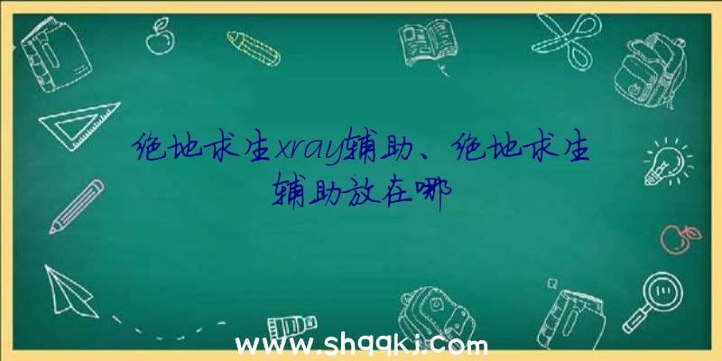 绝地求生xray辅助、绝地求生辅助放在哪