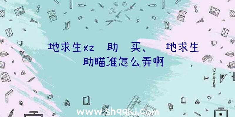 绝地求生xz辅助购买、绝地求生辅助瞄准怎么弄啊