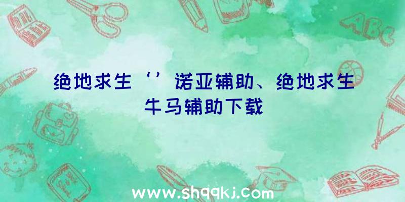 绝地求生‘’诺亚辅助、绝地求生牛马辅助下载