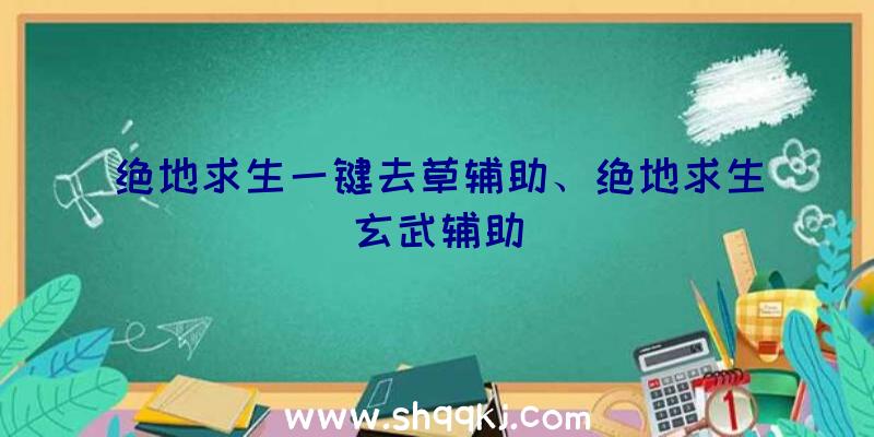 绝地求生一键去草辅助、绝地求生玄武辅助