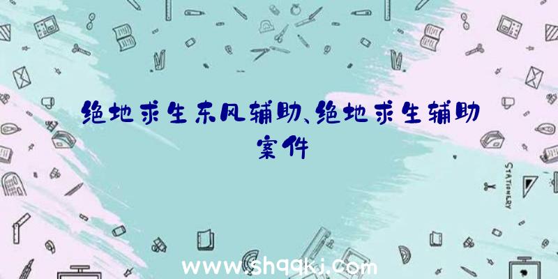 绝地求生东风辅助、绝地求生辅助案件