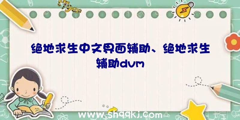 绝地求生中文界面辅助、绝地求生辅助dvm