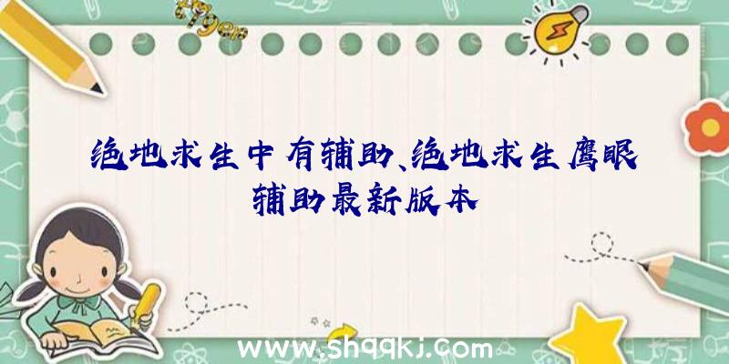 绝地求生中有辅助、绝地求生鹰眼辅助最新版本