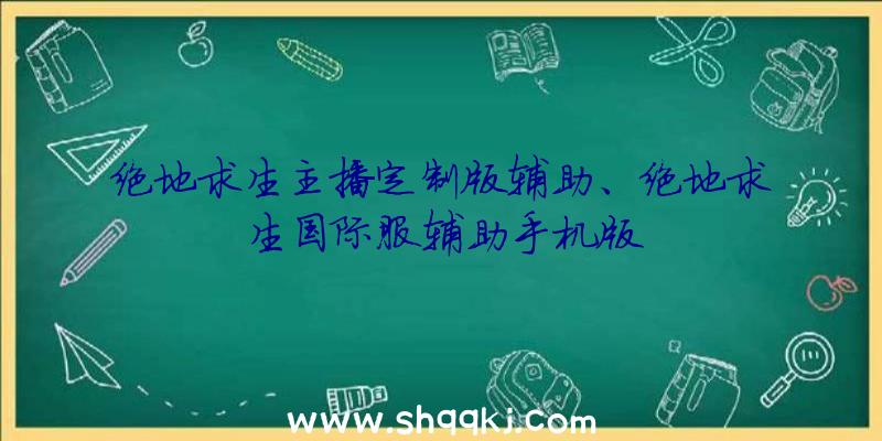 绝地求生主播定制版辅助、绝地求生国际服辅助手机版