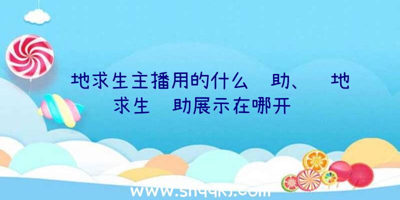 绝地求生主播用的什么辅助、绝地求生辅助展示在哪开