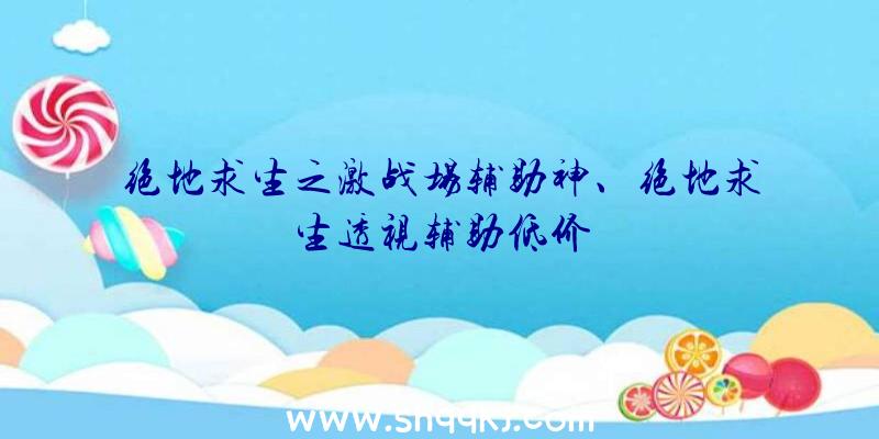 绝地求生之激战场辅助神、绝地求生透视辅助低价