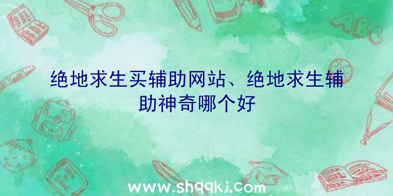 绝地求生买辅助网站、绝地求生辅助神奇哪个好