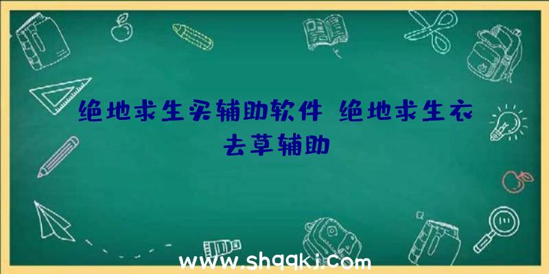 绝地求生买辅助软件、绝地求生衣去草辅助