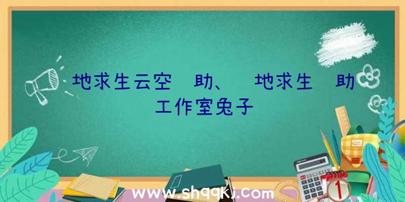 绝地求生云空辅助、绝地求生辅助工作室兔子