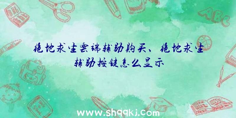 绝地求生云端辅助购买、绝地求生辅助按键怎么显示