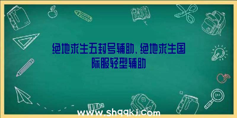 绝地求生五封号辅助、绝地求生国际服轻型辅助