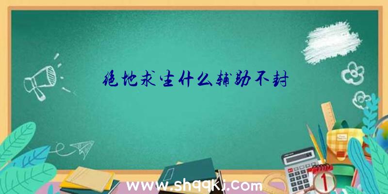 绝地求生什么辅助不封