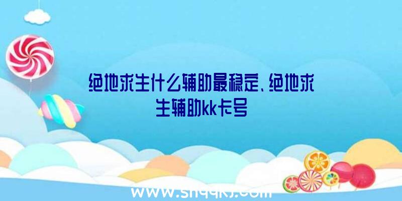 绝地求生什么辅助最稳定、绝地求生辅助kk卡号