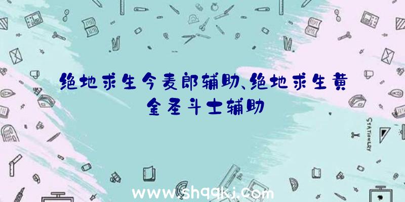 绝地求生今麦郎辅助、绝地求生黄金圣斗士辅助