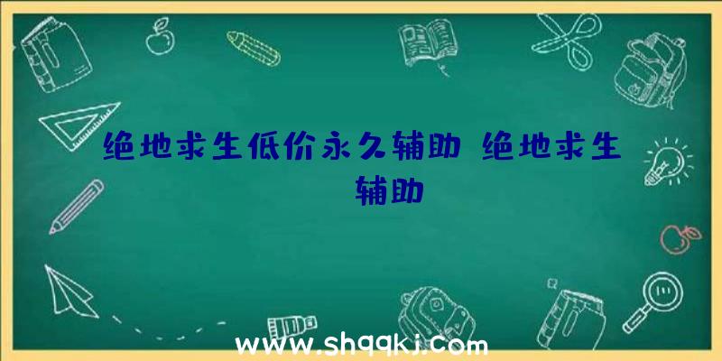 绝地求生低价永久辅助、绝地求生peb辅助