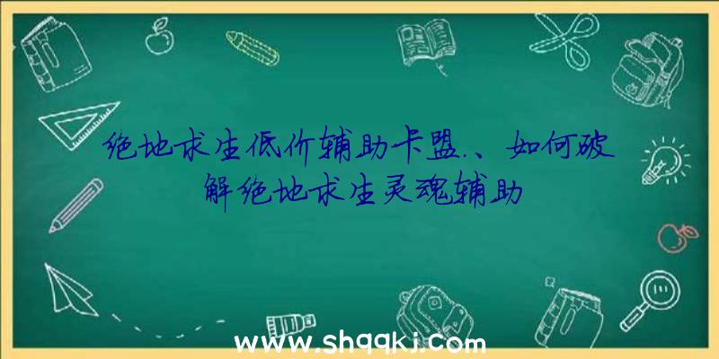 绝地求生低价辅助卡盟.、如何破解绝地求生灵魂辅助