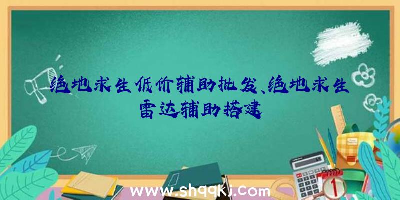 绝地求生低价辅助批发、绝地求生雷达辅助搭建