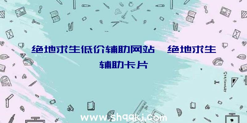 绝地求生低价辅助网站、绝地求生辅助卡片