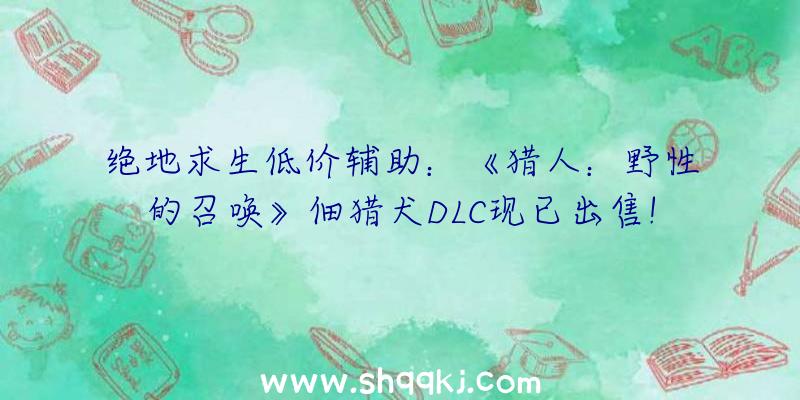 绝地求生低价辅助：《猎人：野性的召唤》佃猎犬DLC现已出售!还有心爱的狗狗小屋哦