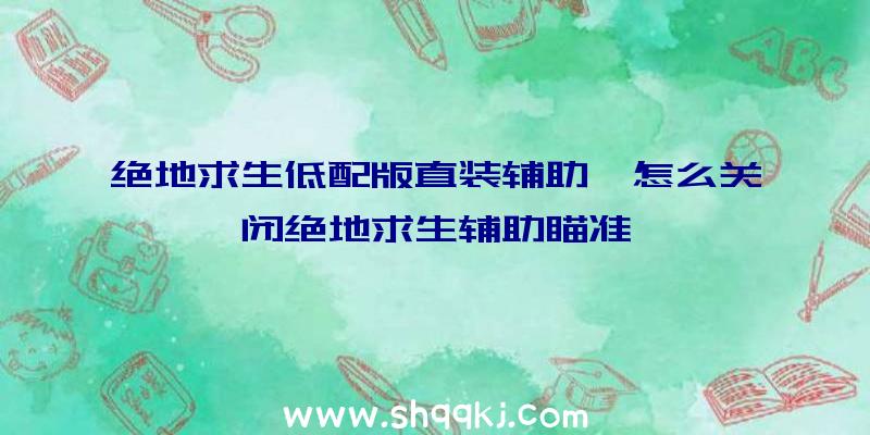 绝地求生低配版直装辅助、怎么关闭绝地求生辅助瞄准