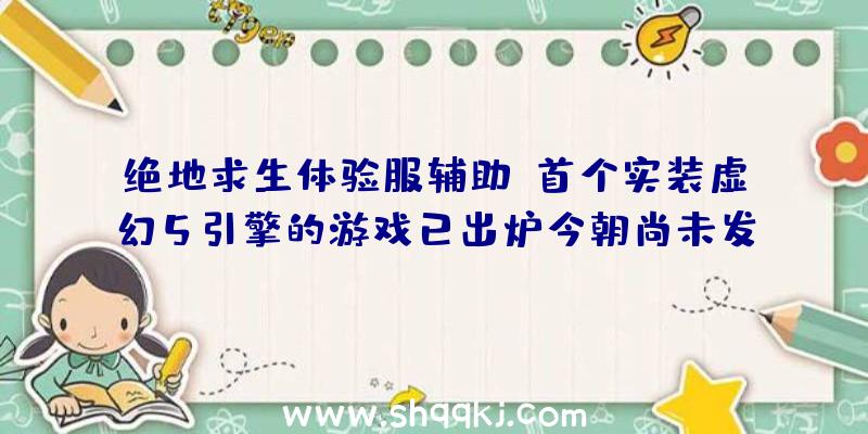 绝地求生体验服辅助：首个实装虚幻5引擎的游戏已出炉今朝尚未发明画面质量提高